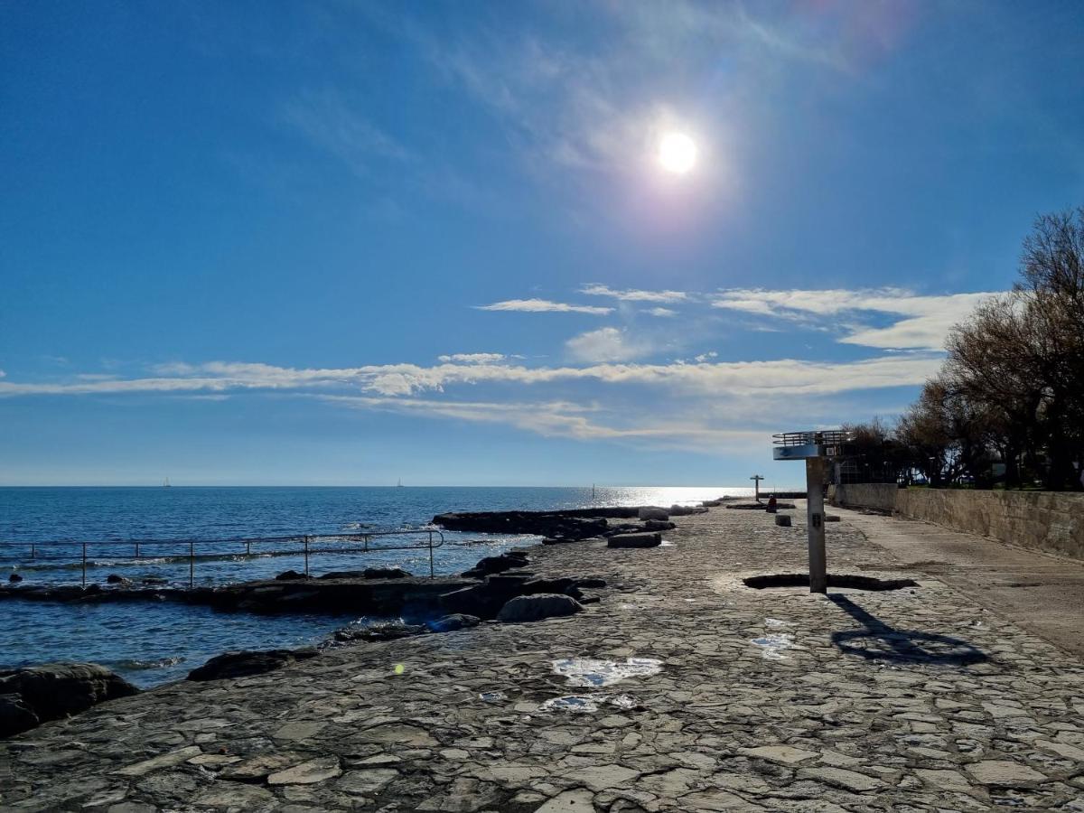 Apartment Rivarela Blu - Newly Renovated And Top Location Near Sea Novigrad Istria 外观 照片