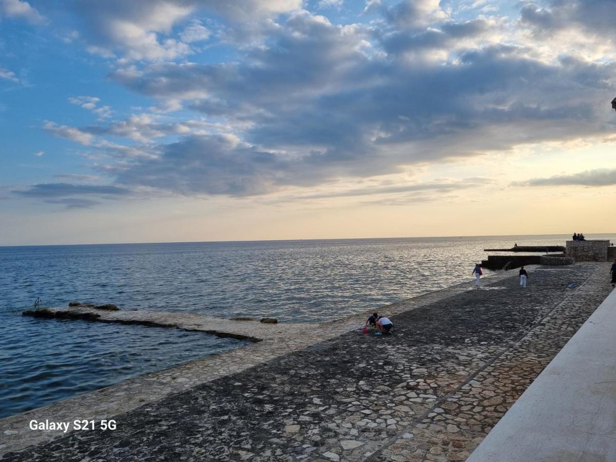 Apartment Rivarela Blu - Newly Renovated And Top Location Near Sea Novigrad Istria 外观 照片